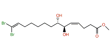 Xestospongiene S